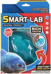 Vedecká sada anatómie – ryba