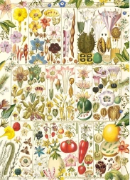 Puzzle Botanická blaženosť 1000 dielikov