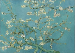 Puzzle mandľový kvet XL 700 dielikov ANATOLIAN