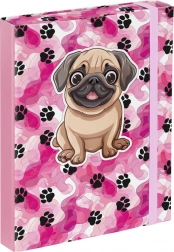 Dosky na školské zošity A5 - Labky