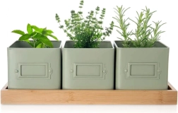 Súprava kvetináčov na bylinky GREENISH so stojanom, 3 ks