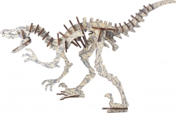 Woodcraft drevené 3D puzzle Peinonychus