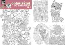 Maľovanie podľa čísel A4 s duo pastelkami