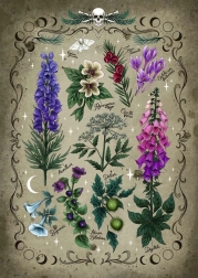 Puzzle Jedovaté Rastliny 1000 dielikov