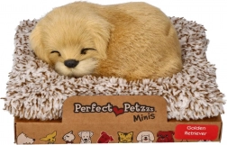 Štekajúci zlatý retríver na peliešku