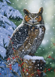 Puzzle Tichý pozorovateľ 500 dielikov ALIPSON