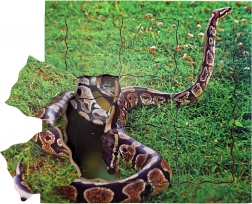 Just Jigsaws Had a jeho životný cyklus drevené vrstvené puzzle