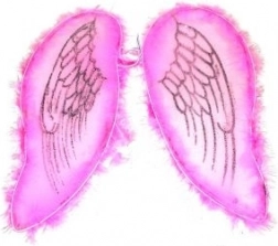 Ružové krídla pre anjela a vílu