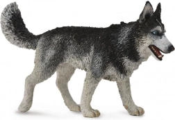 Collecta sibírsky husky – figúrka