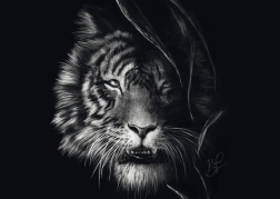 Schmidt puzzle Divokosť tigra – stelesnenie slobody 1000 dielikov