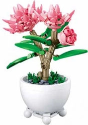 Sluban kvetina v kvetináči – ružové pivónie