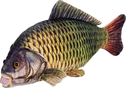 Plyšový kapor 52 cm