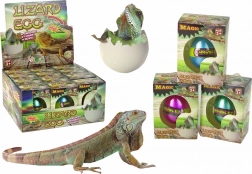 Magické liahnuce sa vajíčko – rastúca jašterica 6 cm