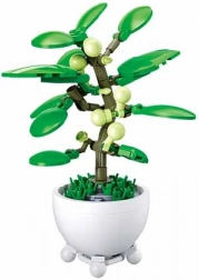 Sluban tropická rastlina v kvetináči