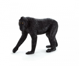 Mojo figúrka makaka chocholatého – stredná veľkosť