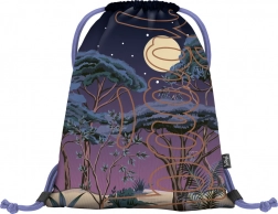 Vak na chrbát Skate Night