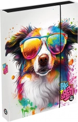 Box na zošity A4 Jumbo so psom