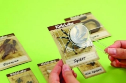 edukačná sada vykopávky – chrobáčiky