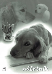 Skicár A3, 20 listov