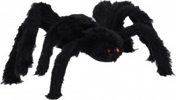 Veľký čierny pavúk na Halloween
