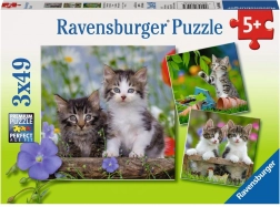Ravensburger puzzle mačiatka 3×49 dielikov