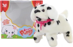 Chodiaci psík dalmatín so saltami