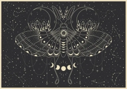 Puzzle Galaxy: Mesačný Motýľ 500 dielikov