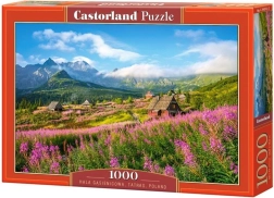 Puzzle 1000 dielikov Hala Gąsienicowa, Tatry, Poľsko