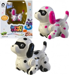 Psík jazdí po nakreslenej čiare