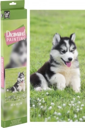 Diamantové maľovanie Husky 40 × 50 cm