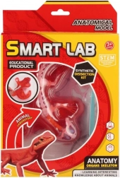 Vedecká sada anatómie – jašterica