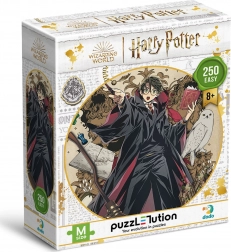Puzzle DODO Harry Potter: Mladý čarodejník 250 dielikov