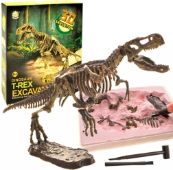 Súprava na vykopávky – kostra T‑Rex 3D – T‑rex