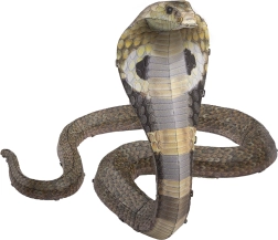 Kovové 3D puzzle COBRA – stavebnica METAL EARTH