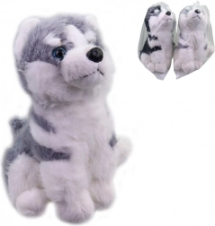 Plyšový psík Husky 25 cm