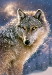 puzzle 500 dielikov lone wolf