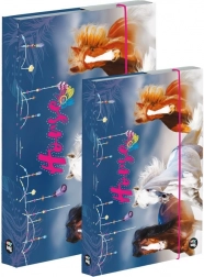 Sada boxov na zošity A4 a A5 – kôň