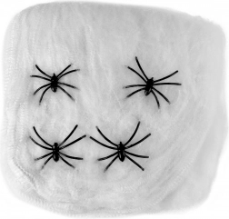 Dekorácia Pavúčína s Pavúkmi