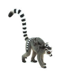 Mojo Lemúri s mláďaťom