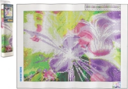 Diamantové maľovanie – magická huslistka 30 × 40 cm