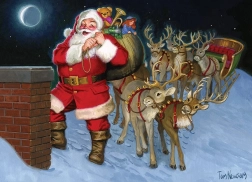 Puzzle Na streche 500 dielikov