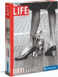 Puzzle Chihuahua od Clementoni 1000 dielikov