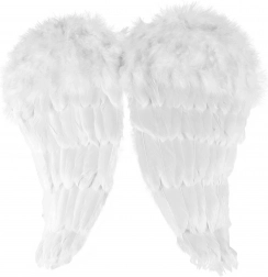 Anjelské krídla s perím