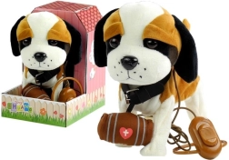 Interaktívny Bernardín na Vodítku s Búdou