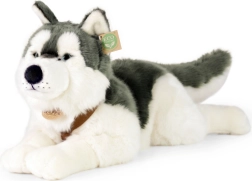 Plyšový pes husky s obojkom 60 cm