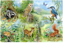 Puzzle Štúdium prírody 250 dielikov