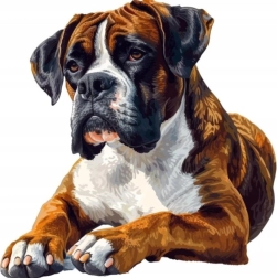 Diamantové maľovanie boxer 30 × 40 cm