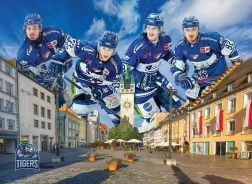 Puzzle STRAUBING TIGERS 1000 dielikov od EUROGRAPHICS