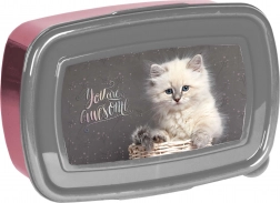 Paso desiatový box s mačičkou 750 ml