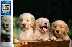 Diamantová mozaika - Traja psi